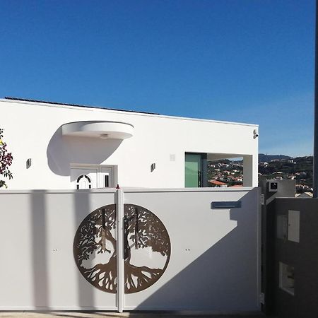 The Tree Of Life House Hotel Ponta do Sol  Bagian luar foto